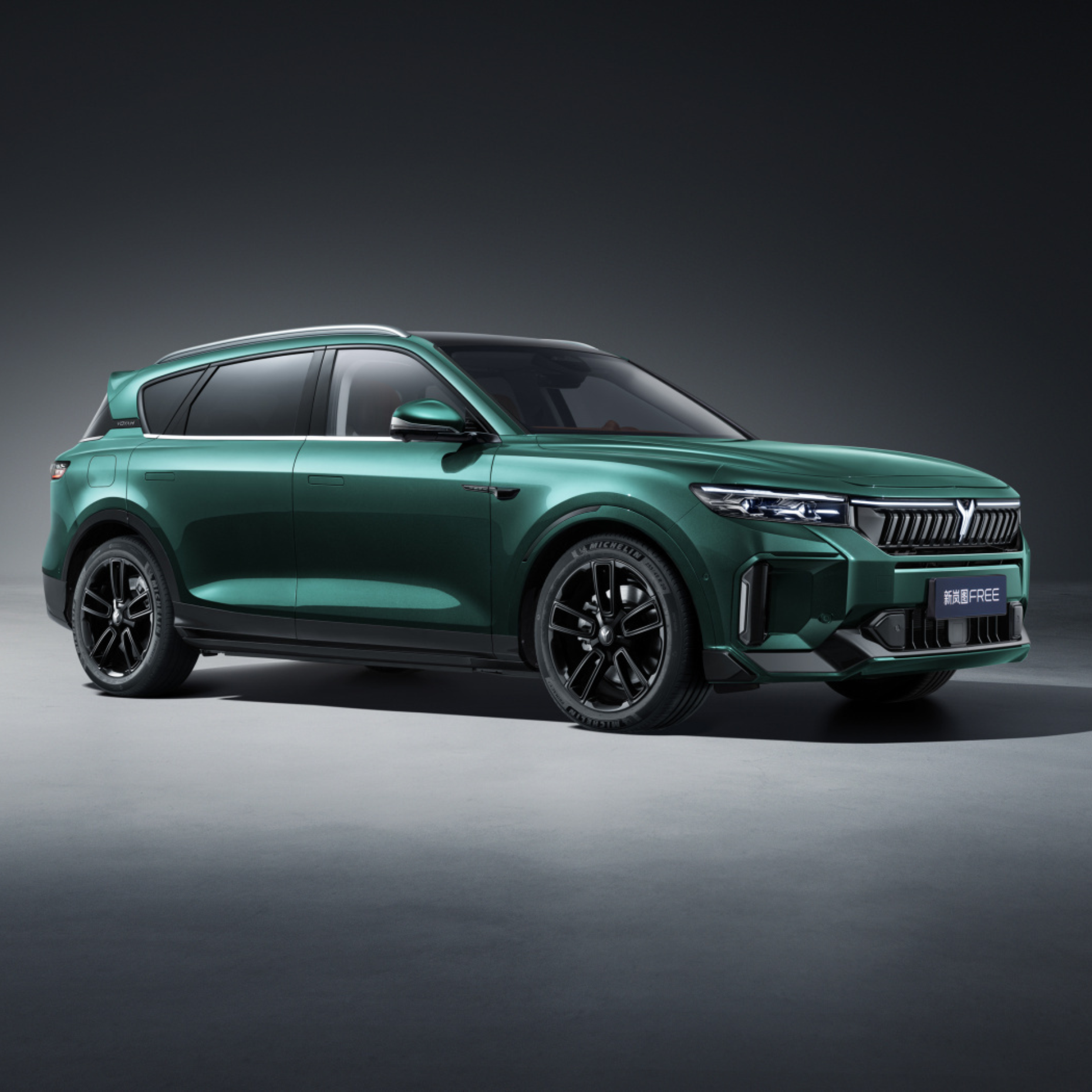 2024 VOYAH FREE 4WD China Import And Export Auto Limited