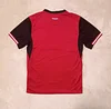 Joyfball 2026 Austria National Team Home Football Shirt 1:1 Thai Quality