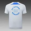 2025/2026 Bayern Munich pre-match training Grey Shirt+Shorts 1:1 Thai Quality