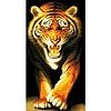 (Stamped/Counted) King Of Beasts - 14CT Cross Stitch 45*84cm/17.72*33.07in (Big Size)
