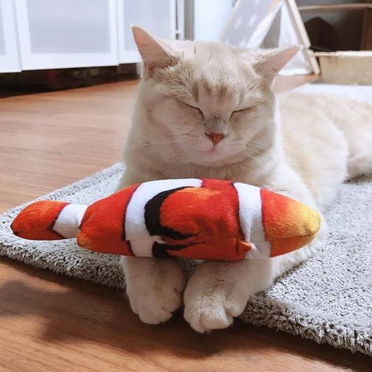 Realistic Looking Cat Kicker Fish Toy