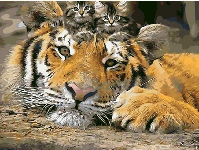 

Tiger Kittens – Paint By Numbers - 40*50CM, 501 Original