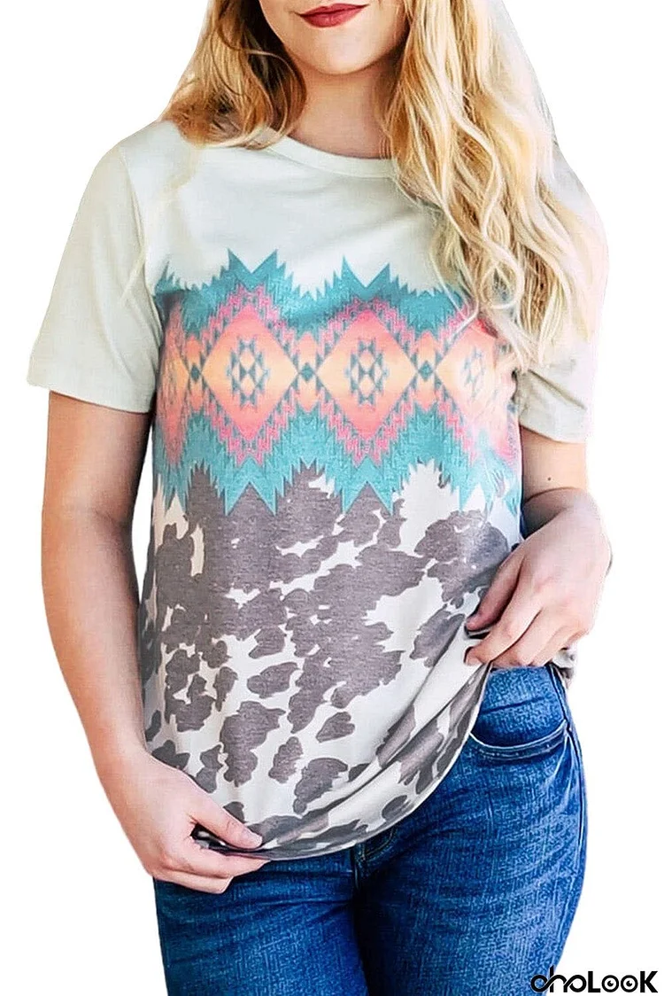 Multi-color Aztec Geometric Print T-shirt