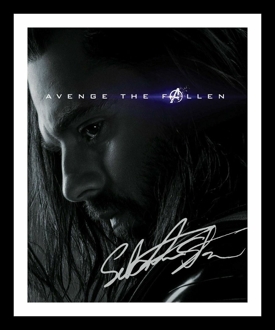 Sebastian Stan - The Winter Soldier - The Avengers Signed & Framed Photo Poster painting