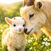 Luxury AB Velvet Diamond Painting Kit - Sheep