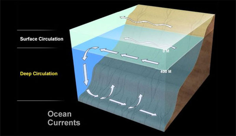  Current dive, Drift dive, Ocean current, Dealing with curcean current
