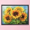 (Counted/Stamped)(Big Size) 11CT Sunflower- Cross Stitch  50*65cm/19.69*25.59in