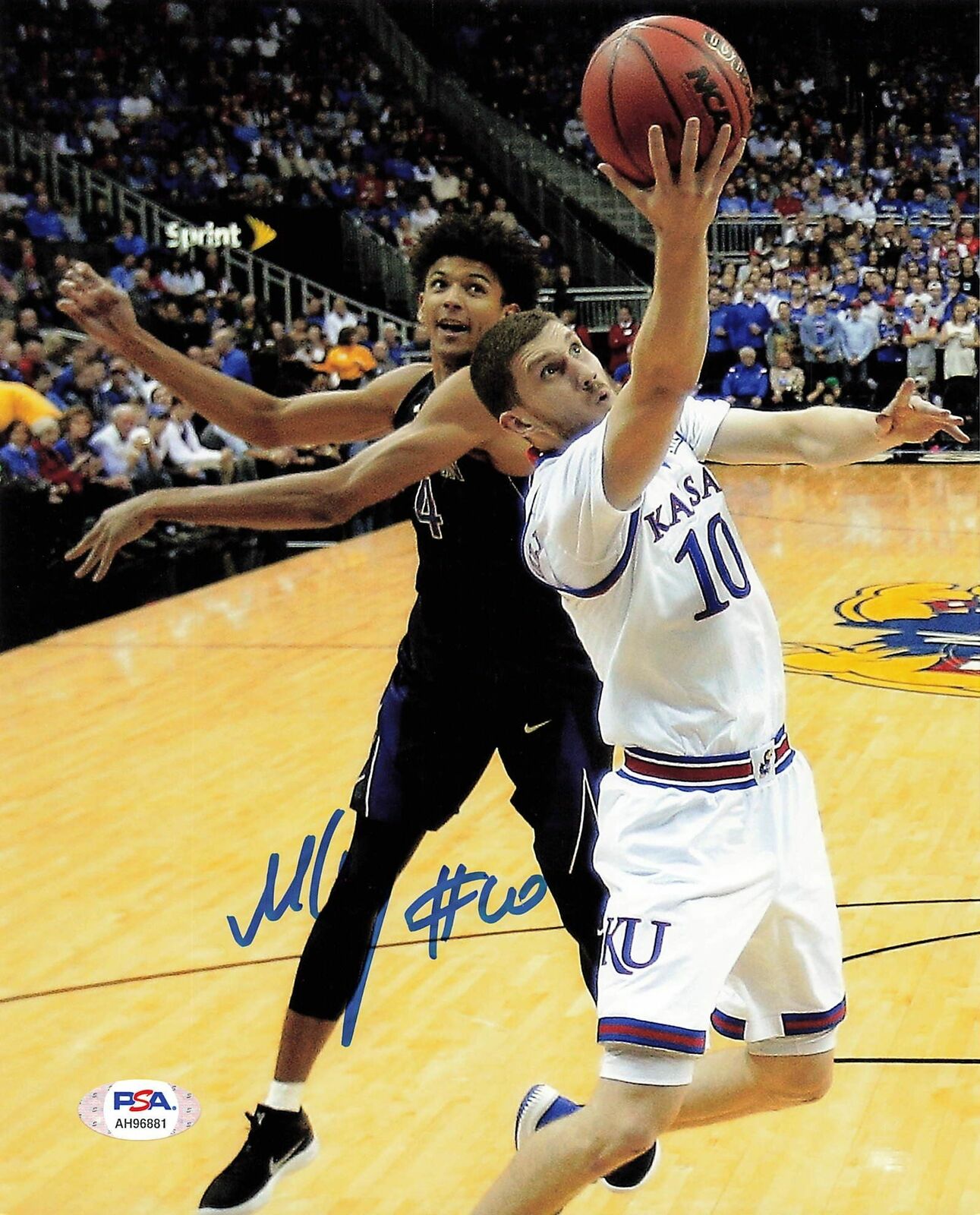 Sviatoslav Svi Mykhailiuk signed 8x10 Photo Poster painting PSA/DNA Autographed Kansas Jayhawks