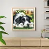 Border Collie And Chicks-11CT Stamped Cross Stitch 40*40cm/15.75*15.75in tapestrymarket