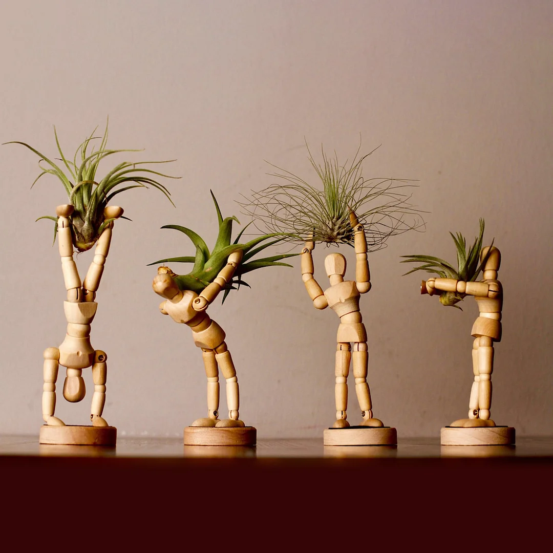 Unique Magnets Planters