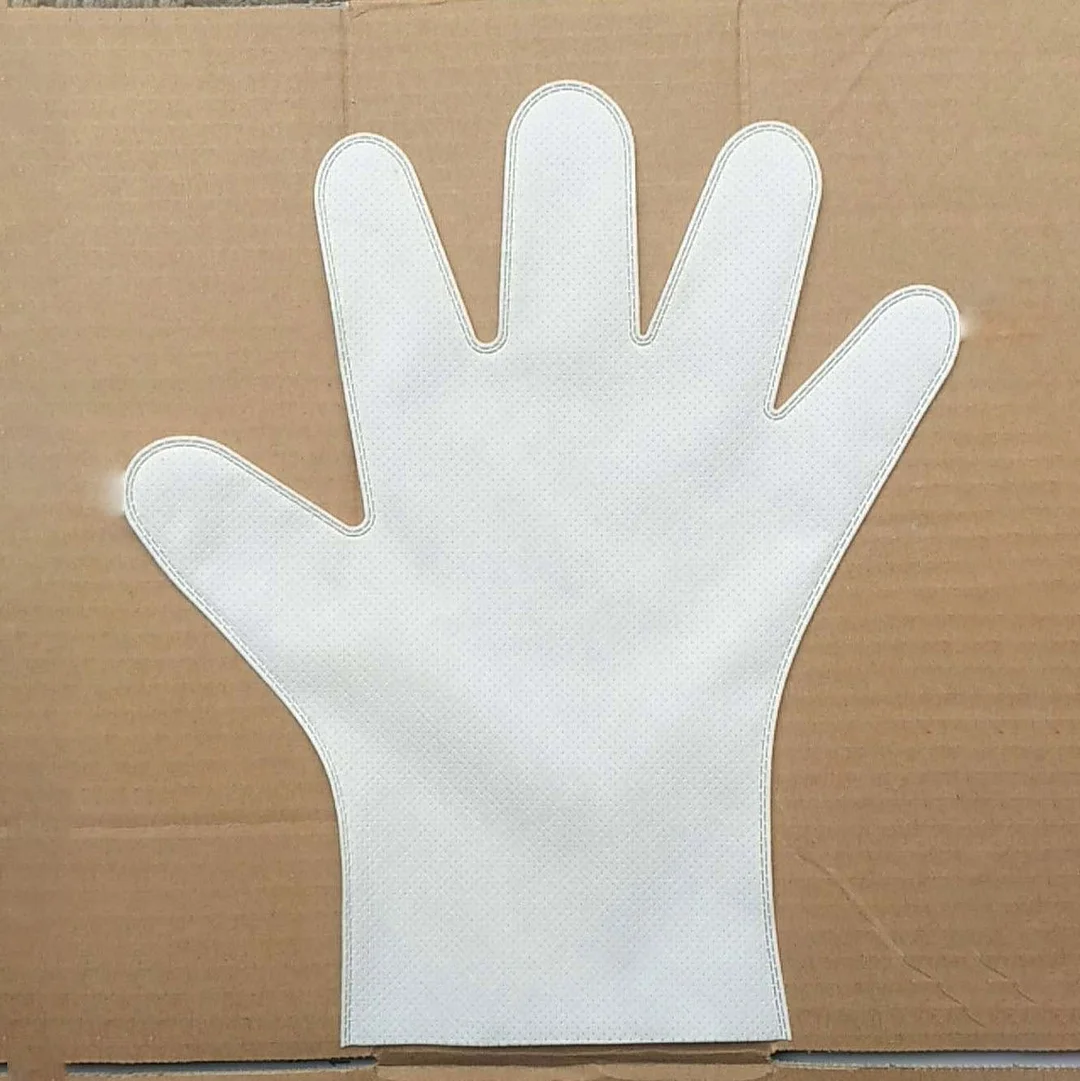 Home Dust Removal Gloves