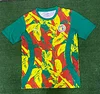 2024/2025 Senegal National Team Training Wear Football Shirt 1:1 Thai Quality