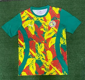 2024/2025 Senegal National Team Training Wear Football Shirt 1:1 Thai Quality