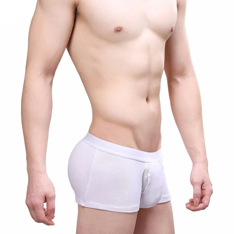 Aonga  Men Underwear Cotton Boxer Shorts Man Solid Low Waist Breathable U Convex Pouch Underpants Cueca ropa interior hombre M-XXL