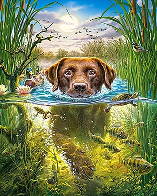 

Dog Swim – Paint By Numbers - 40*50CM, 501 Original