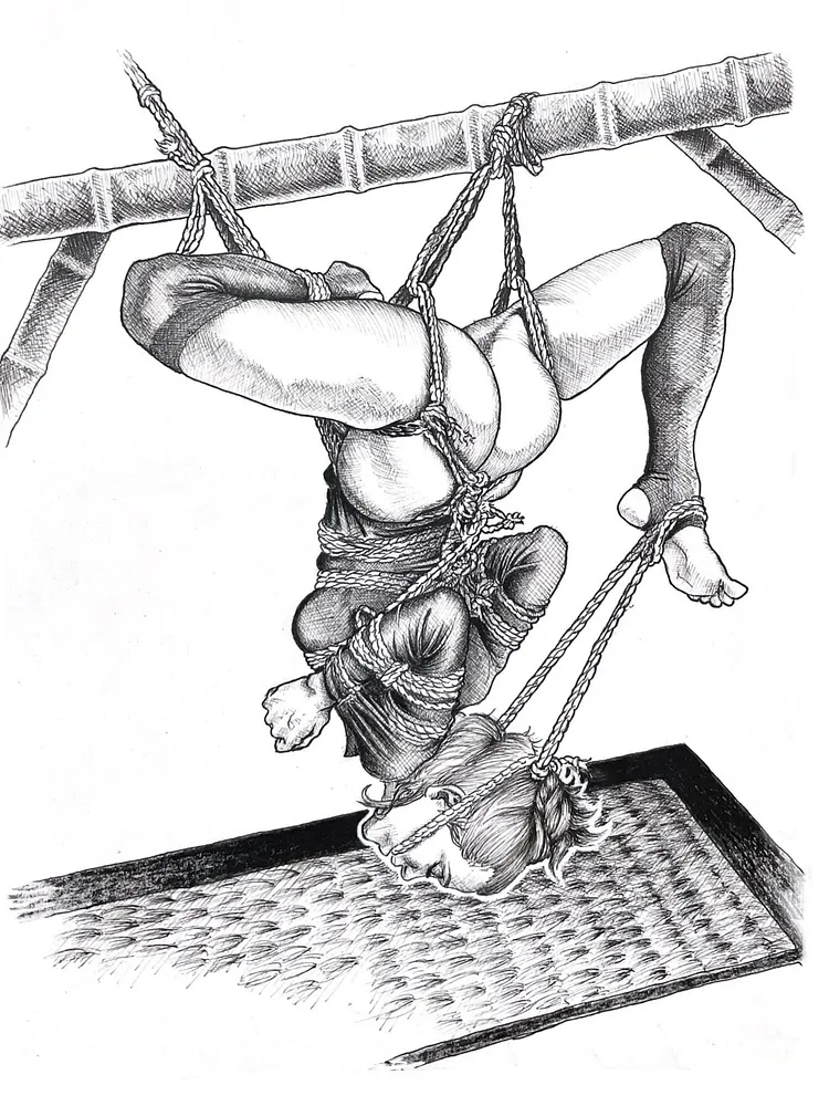 pornhint Pornhint Shibari drawing, erotic illustration, Suspension bondage drawings
