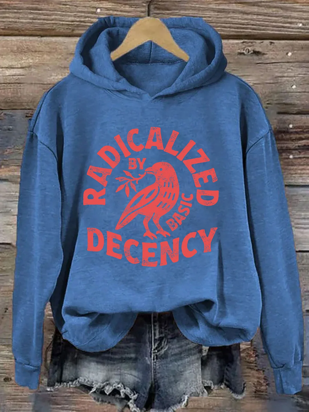Radicalized By Basic Decency Hoodie