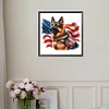 Diamond Painting -DIY Full Square Drill USA Memorial Day(35x35cm)