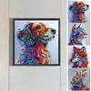 (Multi-Style)Color Animal-Partial Special Shaped Diamond Painting 30*30CM
