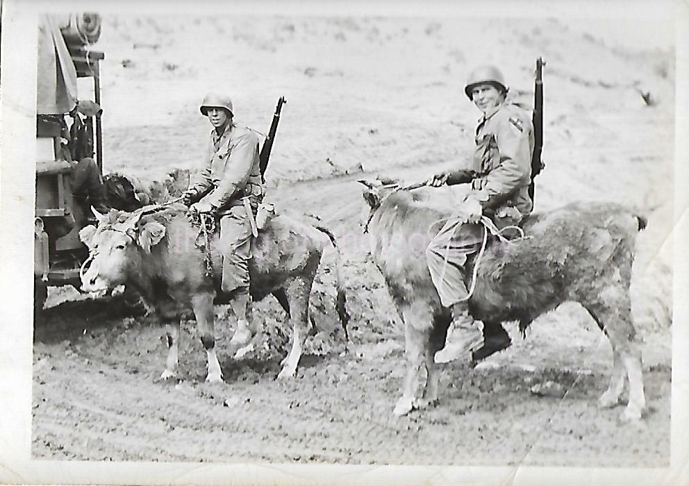 FOUND MILITARY Photo Poster painting Black And White ACTION AND AFTERMATH Korean War 21 44 R