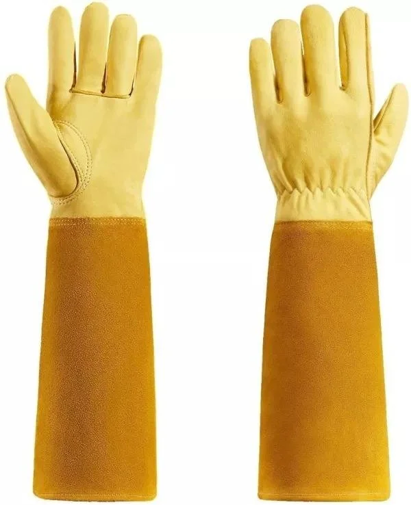 Rose Pruning Gloves