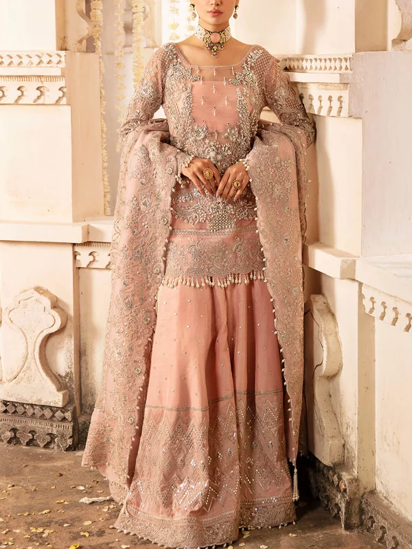 Exquisite Heavy Industry Pakistani Sets