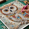 Framed Diamond Painting - Special Shaped - Owl(25x25cm)