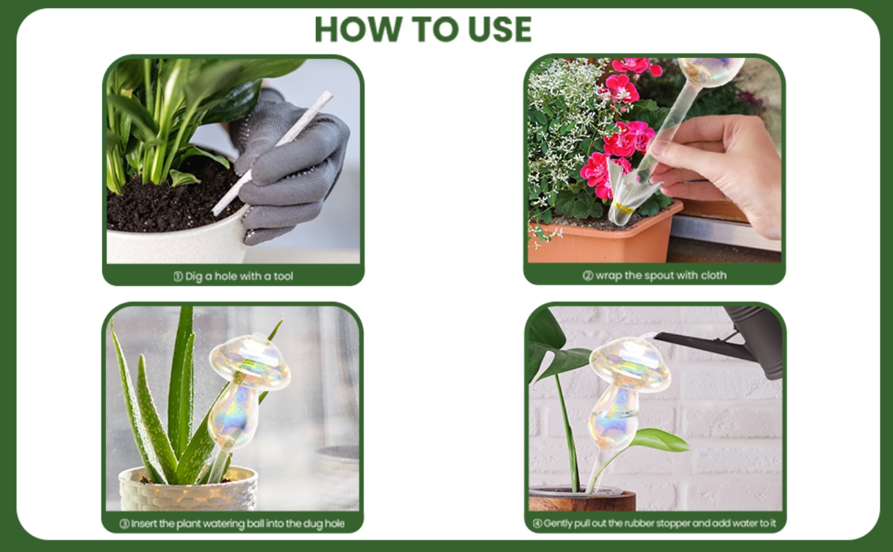 water globes for indoor plants