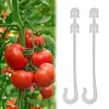 50pcs Plant Grape Vines Support Clips Trellis Fruit Cherry Tomato Ear Hook