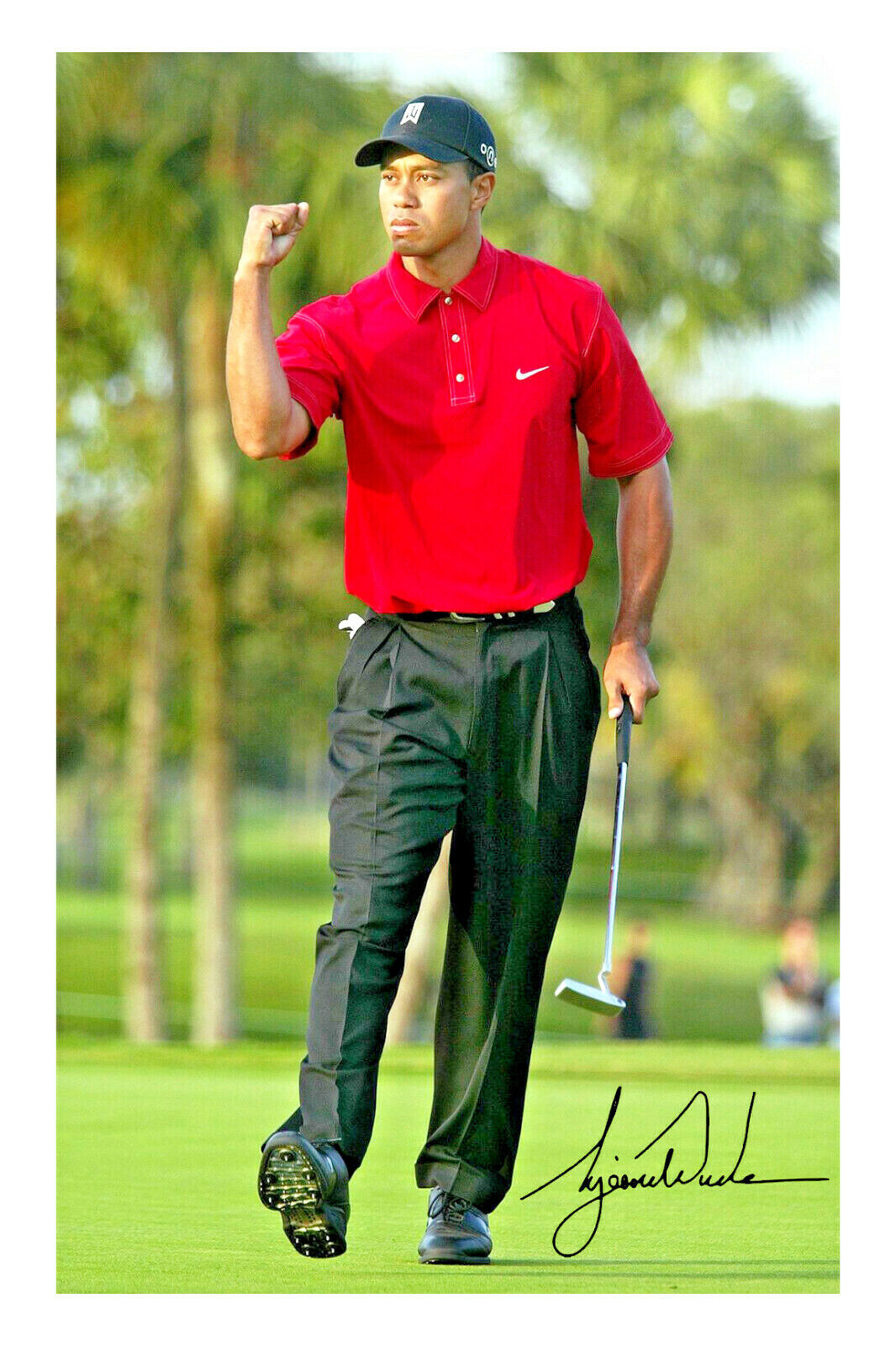 Tiger Woods Signed A4 Photo Poster painting Autograph Print Golf Masters Champion