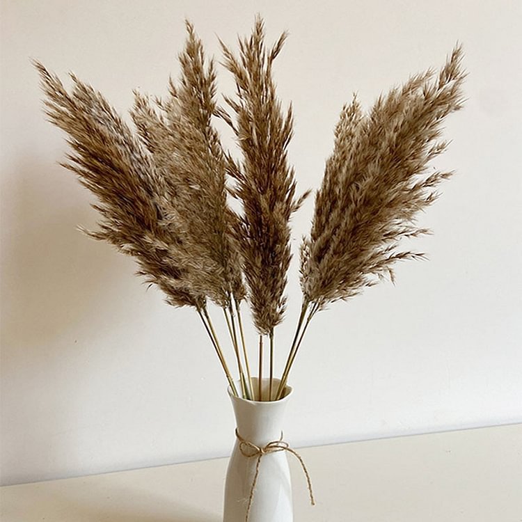 Dried Reeds Natural Dried Plants Bunch Small Pampas Grass DIY Craft Wedding Bouquet Photography Props Home Decoration Supplies