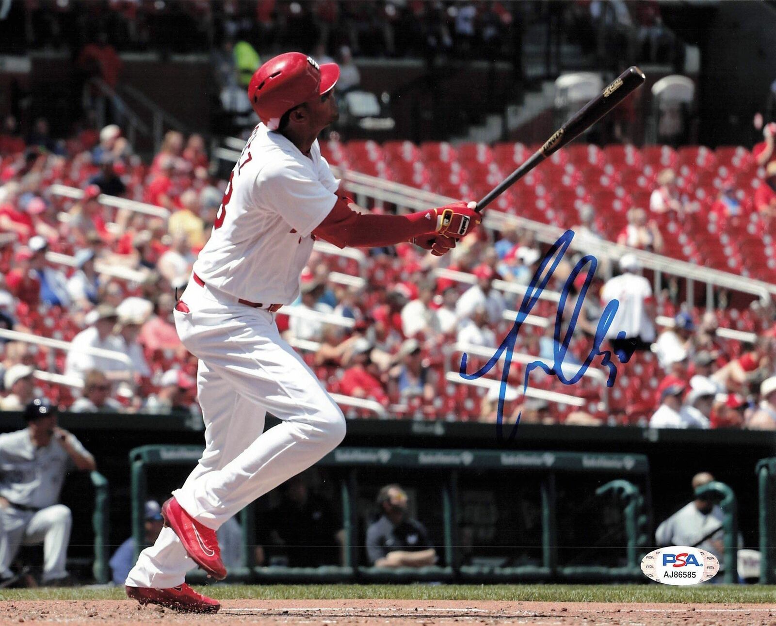 JOSE MARTINEZ signed 8x10 Photo Poster painting PSA/DNA St. Louis Cardinals Autographed