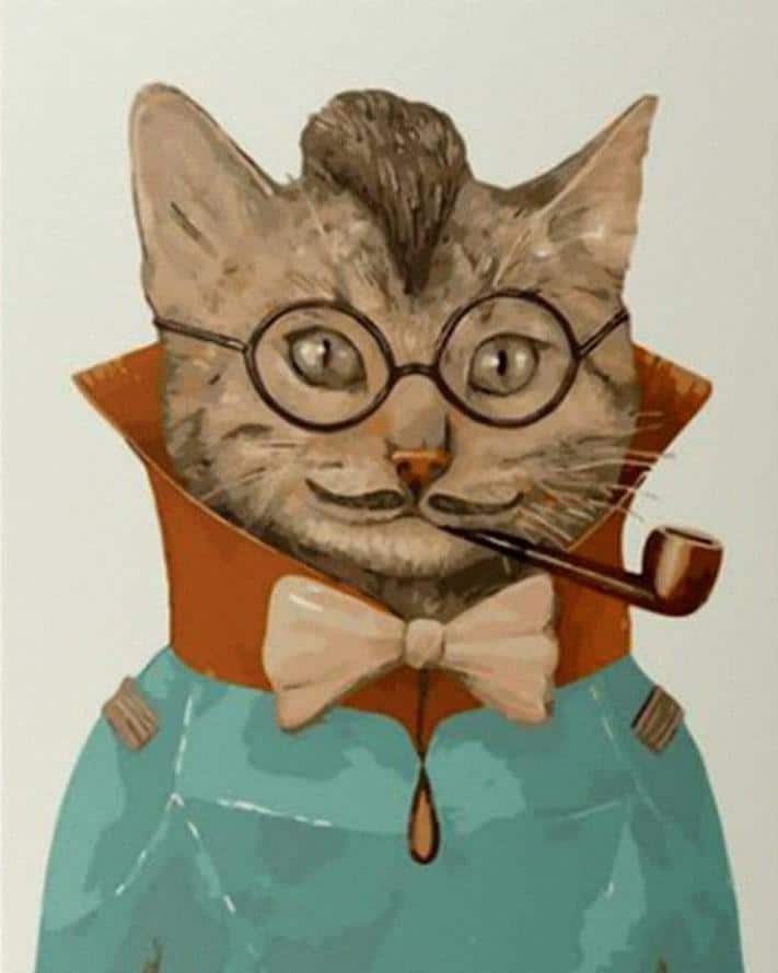 

Count Cat – Paint By Numbers - 40*50CM, 501 Original