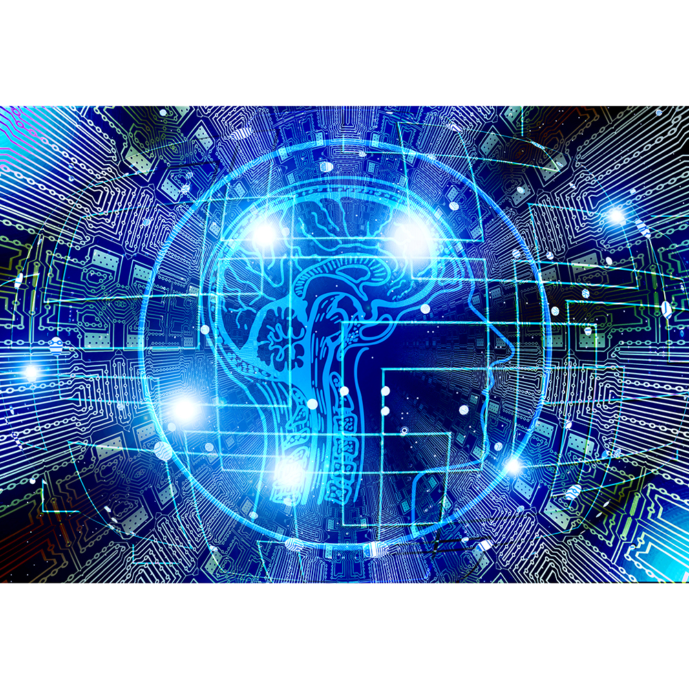 

Brainstorm - 1000 Pieces Jigsaw Puzzle, 501 Original