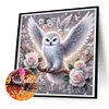 Owl And White Rose-Full Round Diamond Painting 30*30CM