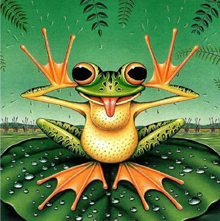 Full Round/Square Diamond Painting -  Funny Frog