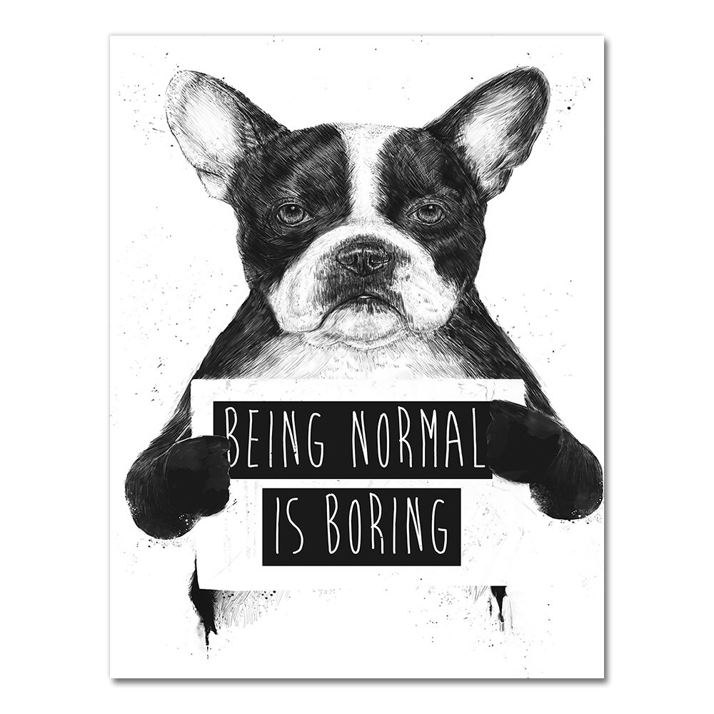 Funny Black White Animals Poster Nordic Cartoon Canvas Painting Wall Art Cute Panda Boston Terrier Pictures Modern Home Decor