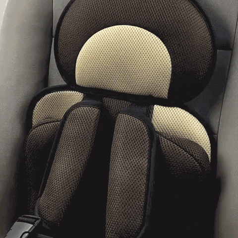 办理美国大学文凭【QQ85269677】 GIF