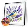 Lavendel und Vogel - Rundbohrer Diamantmalerei - 30*30cm