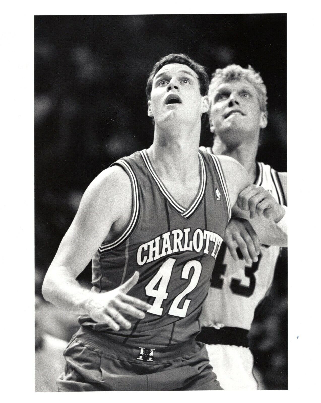 DAVE HOPPEN Charlotte Hornets Basketball NBA 8x10 Promo Photo Poster painting 1989 Gary Dineen