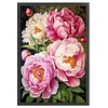 (Big Size)Peony - 11CT Stamped Cross Stitch - 40*60cm - Flower