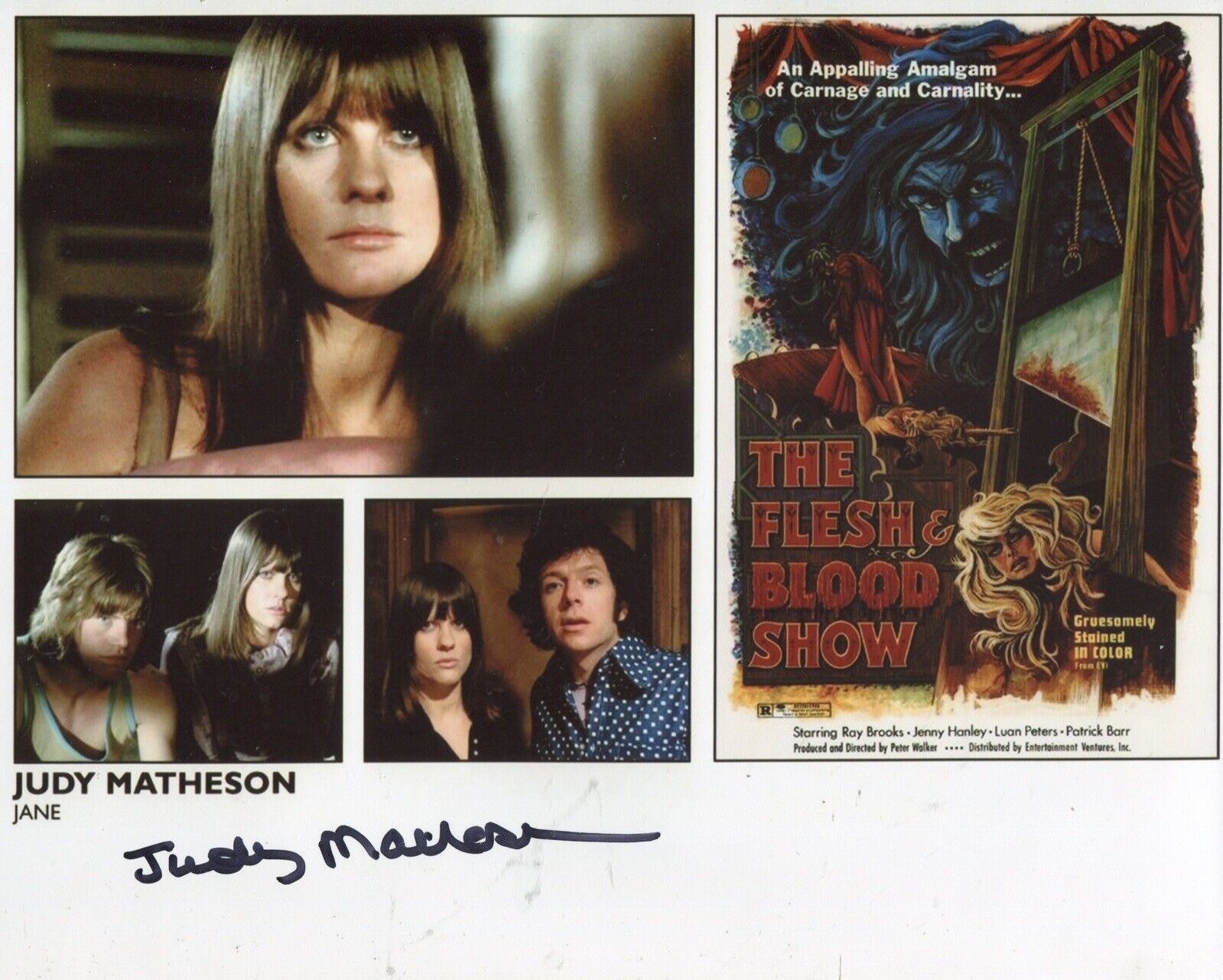 THE FLESH & BLOOD SHOW horror movie Photo Poster painting signed by Judy Matheson - UACC DEALER