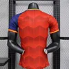 2024/2025 Player Version Spain Special Edition Football Shirt 1:1 Thai Quality