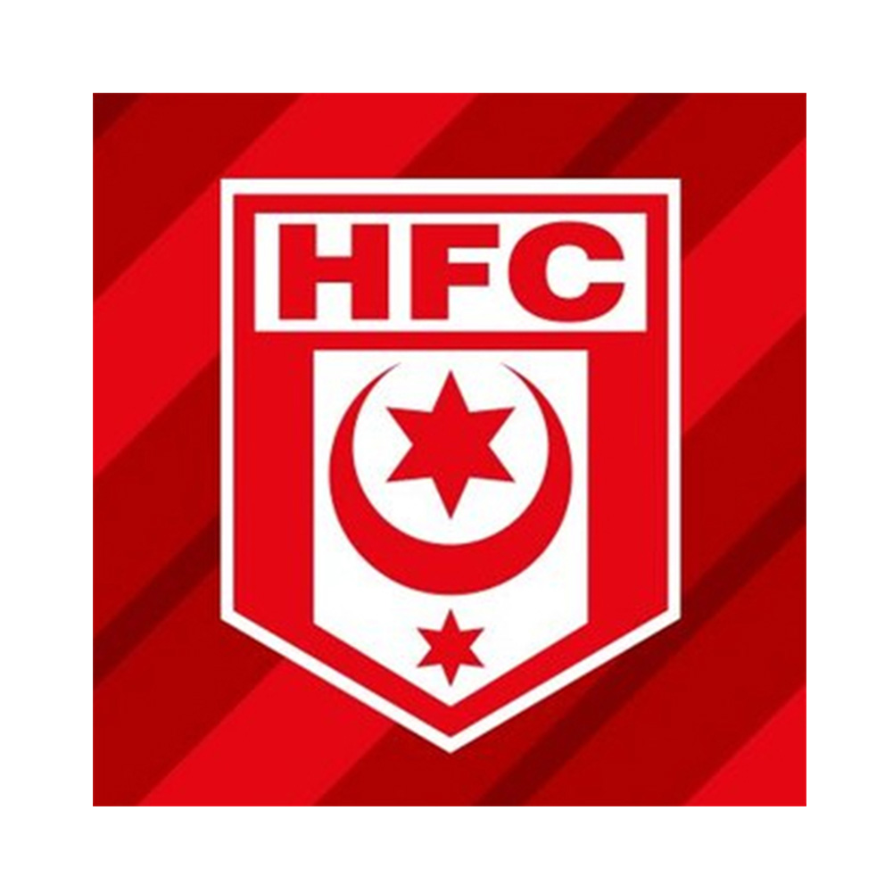 

Football Hallescher FC - Round Drill Diamond Painting - 40*40CM, 501 Original