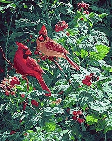 

Forest Red Birds – Paint By Numbers - 40*50CM, 501 Original