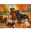Labrador Dogs - 11CT Stamped Cross Stitch 50*40cm/19.69*15.75in
