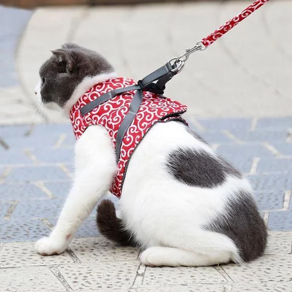 Cat Vest Harness and Leash Set to Outdoor Walking | 168DEAL