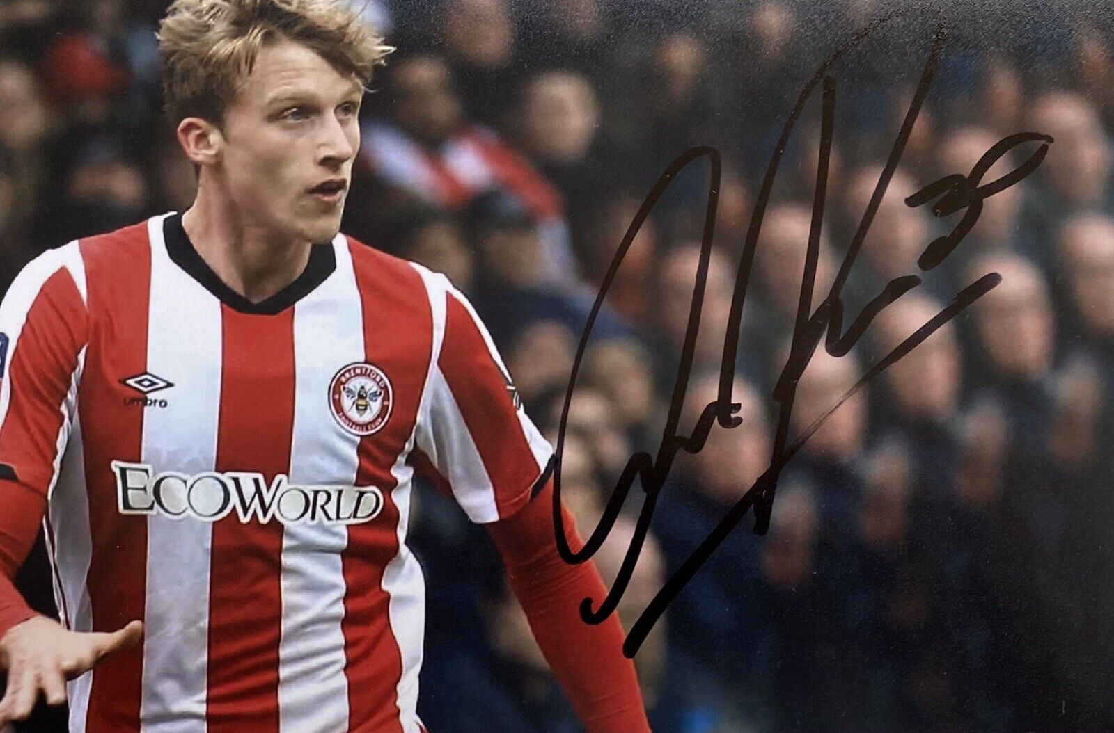 Mads Roerslev Genuine Hand Signed Brentford 6X4 Photo Poster painting