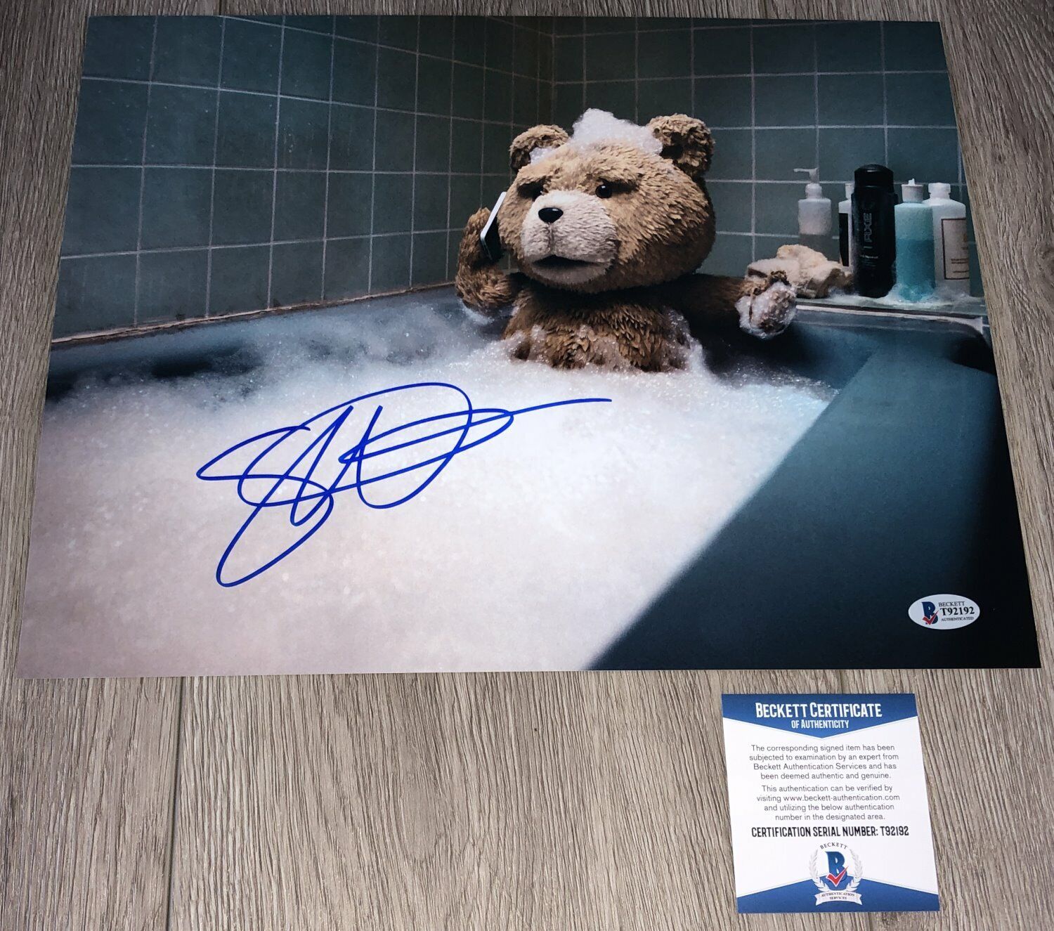 SETH MACFARLANE SIGNED TED FAMILY GUY 11x14 Photo Poster painting B w/PROOF & BECKETT BAS COA