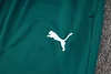 Joyfball 2024/2025 Palmeiras Long Zipped Jacket Dark Green Football Shirt 1:1 Thai Quality